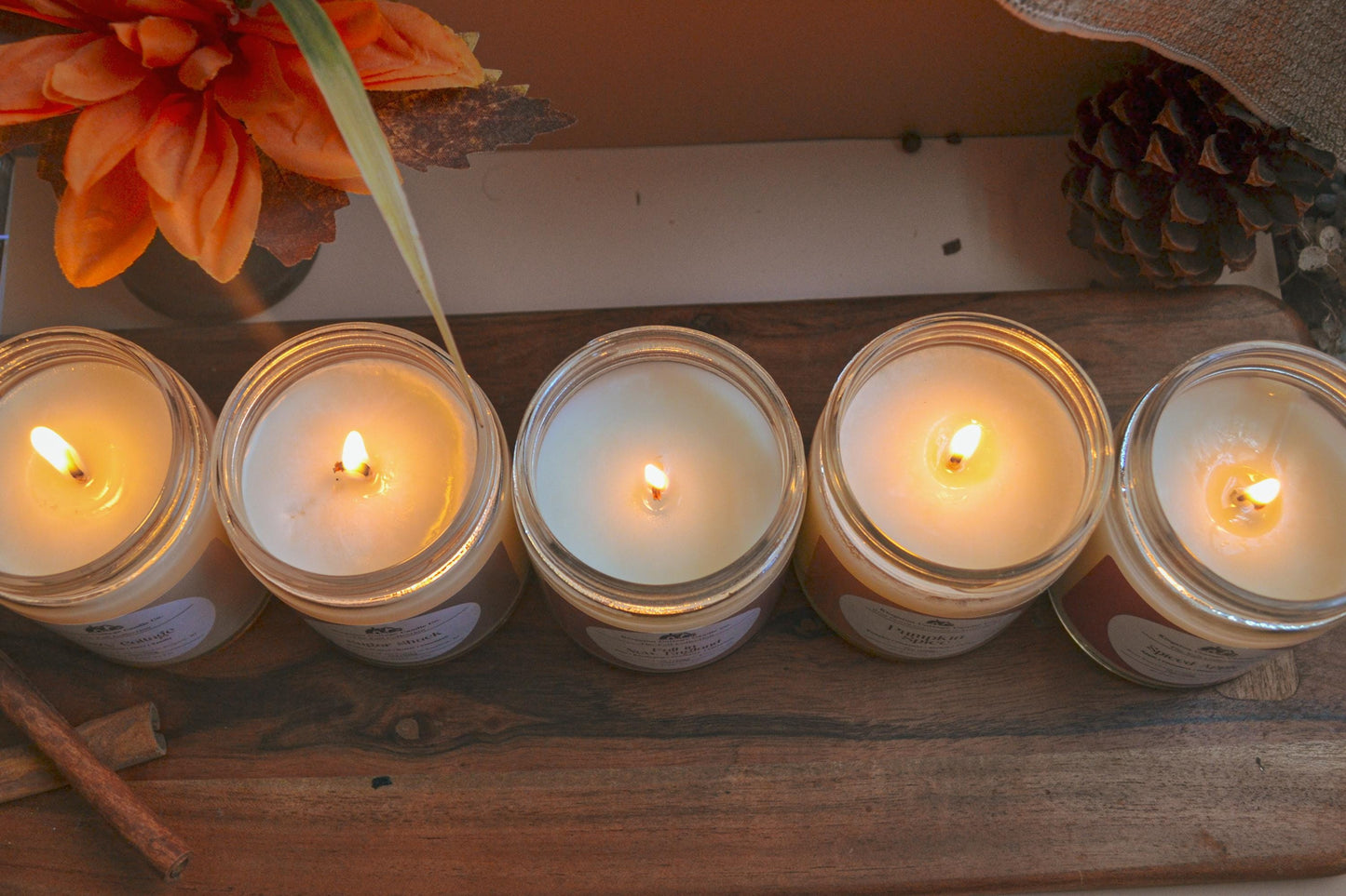 Spiced Apple Candle- Handmade Scented Minimalist Soy Candle, Strong Scent Throw, spiced Apple, Fall, Gift For Friend Mom Dad Co-Worker
