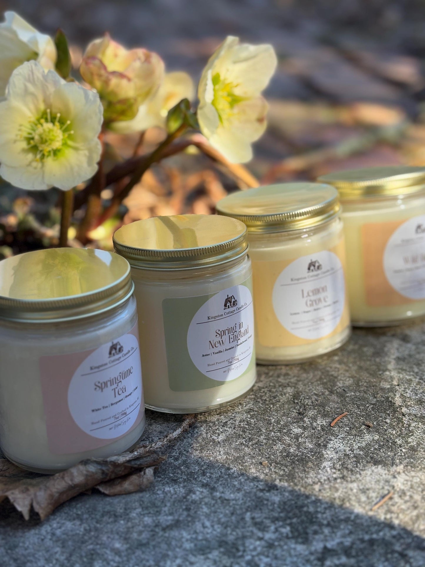 Wild Honey Candle | Honey, Jasmine, and Vanilla Scent | Hand-Poured, Clean-Burning, Non-Toxic Candle for a Cozy Home, gift for Mothers Day