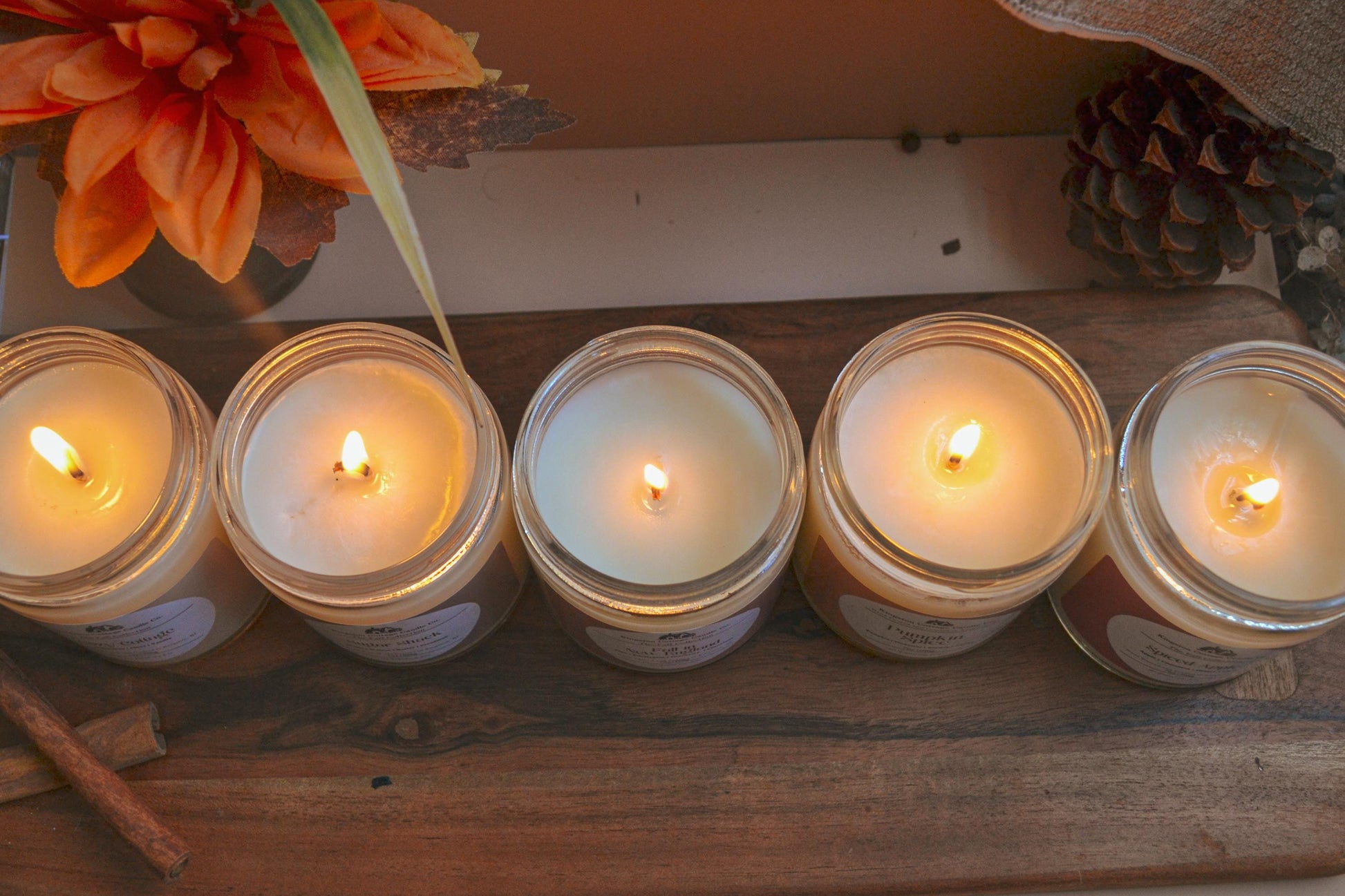 Spiced Apple Candle- Handmade Scented Minimalist Soy Candle, Strong Scent Throw, spiced Apple, Fall, Gift For Friend Mom Dad Co-Worker