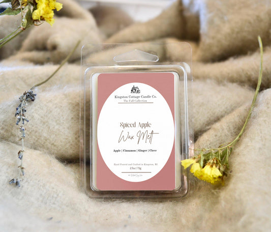 Spiced Apple Wax Melt- Handmade Scented Minimalist Soy Wax Melt, Strong Scent Throw, coffee, Gift For Friend Mom Dad Husband Co-Worker